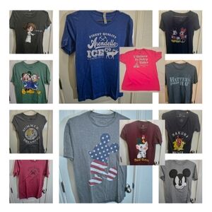 Disney Adult T-Shirt Collection - Blue, Pink, Gray